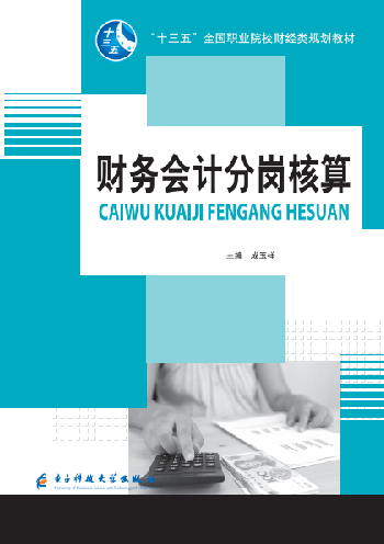 財(cái)務(wù)會(huì)計(jì)分崗核算